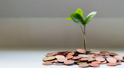 Plant_growing_from_coins_.jpeg
