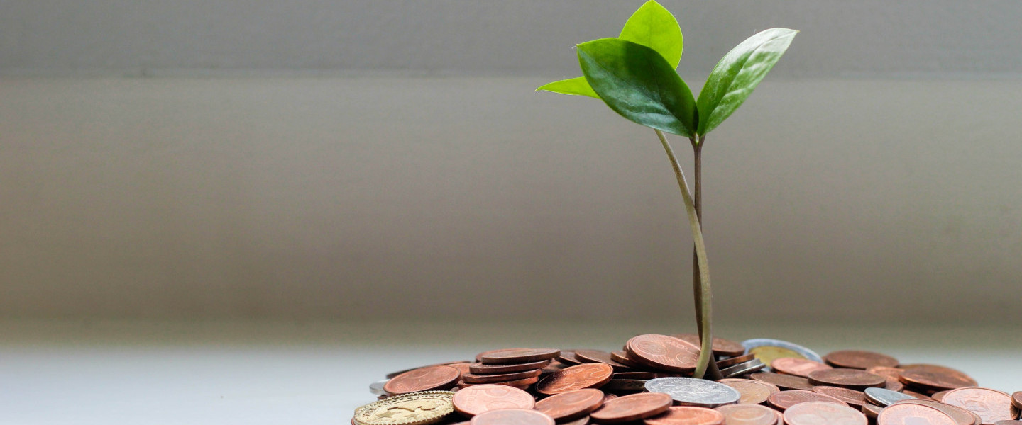 Plant_growing_from_coins_.jpeg