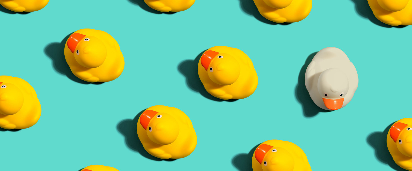 Toy duck stands out of the crowd